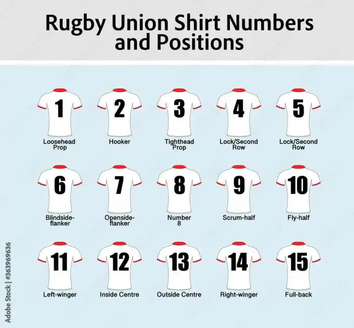 What are the rugby positions