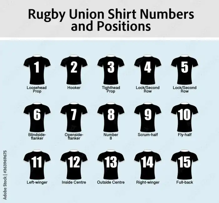 What are the rugby positions