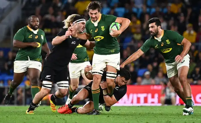 Springboks springbok bokke champions blacks rwc Springboks springbok bokke champions blacks rwc