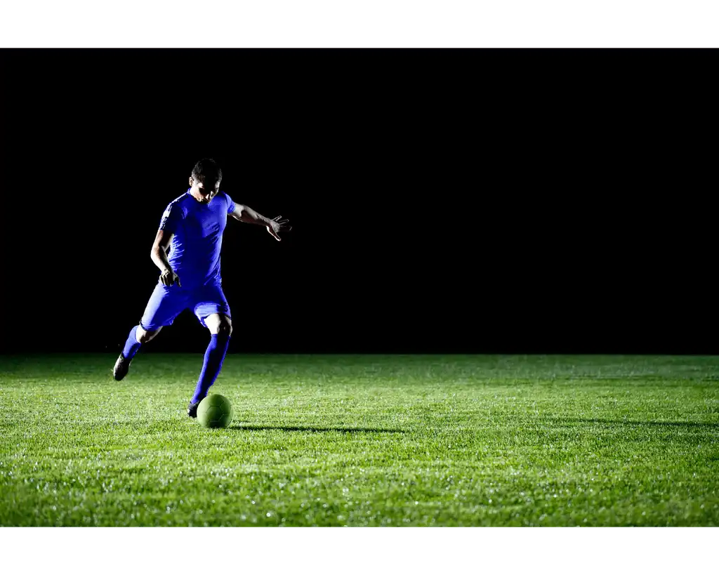 Should rugby players take creatine