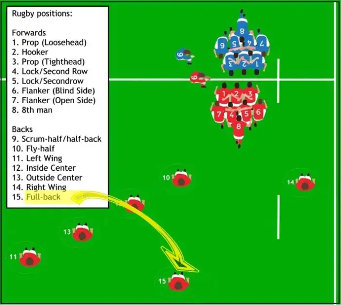 Rugby ruck rules stabilizing horses Does rugby have positions