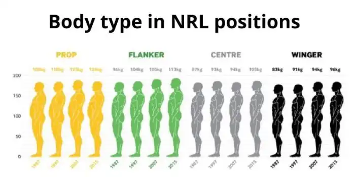 What are the rugby positions