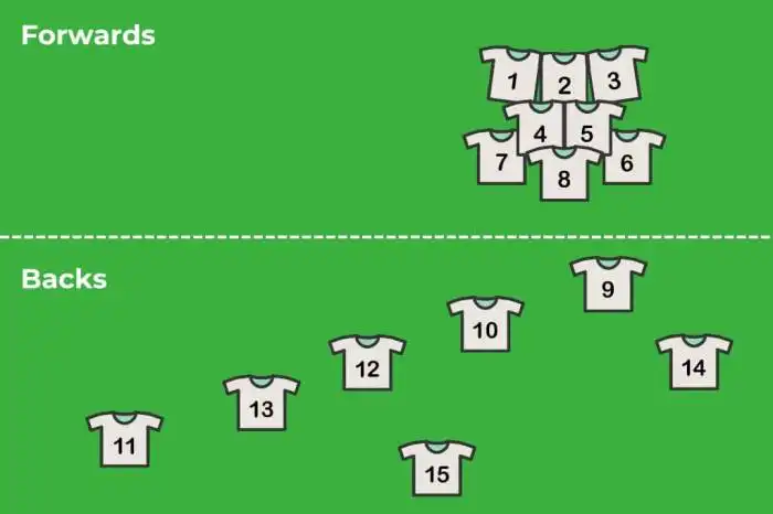 What are the rugby positions