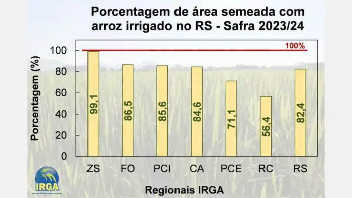 Rizicultura em perímetros sergipanos cresce em mais de 70% – Crea-SE