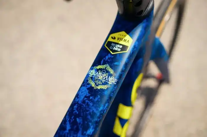 Lidl-Trek Tour de France selection : r/peloton Visma-Lease a Bike Tour de France Selection Leaked: Is This the Team to Beat Pogačar?