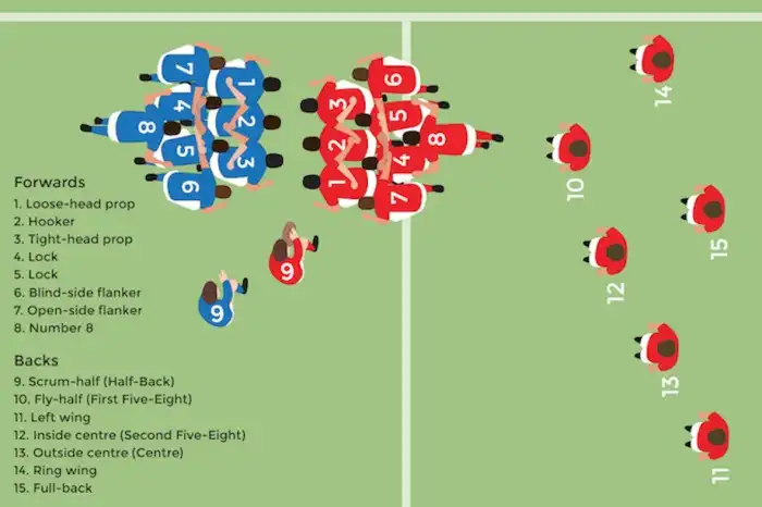 How do you explain rugby for beginners?