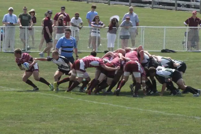 Rugby events rookie Rugby events rookie