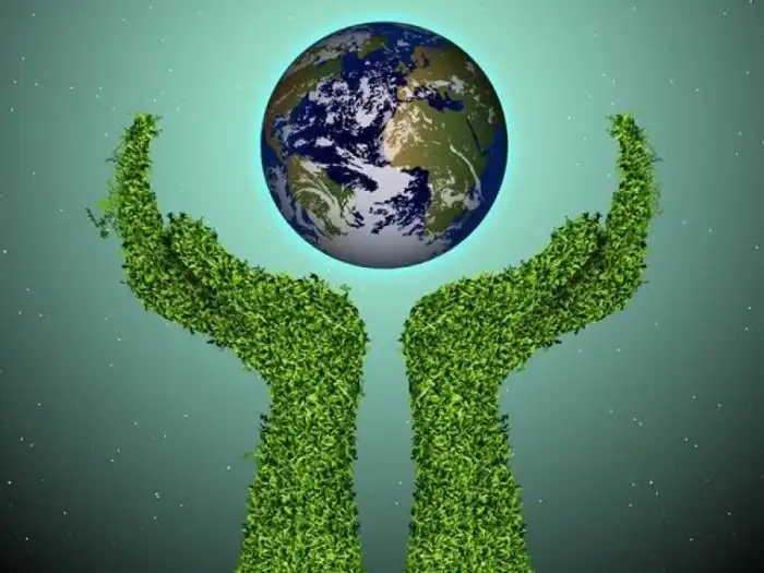 25 dicas para preservar o meio ambiente 25 dicas para preservar o meio ambiente