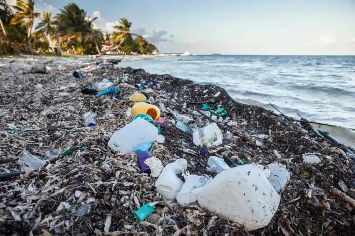 Plastic waste in the ocean Stock Photo - Alamy Plastic waste in the ocean Stock Photo - Alamy
