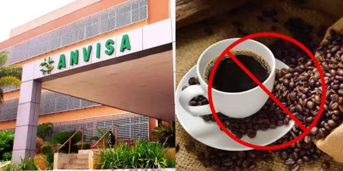 Café fake: saiba a diferença entre café e pó sabor café Café fake: saiba a diferença entre café e pó sabor café