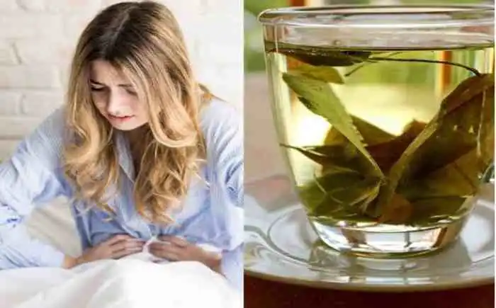 7 remédios caseiros e dicas para aliviar a cólica menstrual 7 remédios caseiros e dicas para aliviar a cólica menstrual