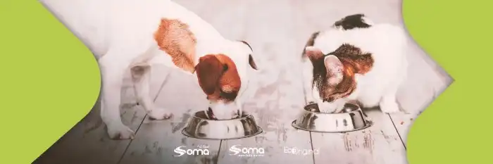 Soma Nutrição Animal - Conheça o nosso site! Soma Nutrição Animal