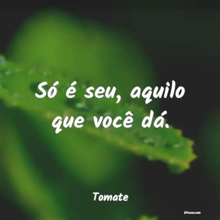 Frases de Tomate - Nunca desista dos seus sonhos,