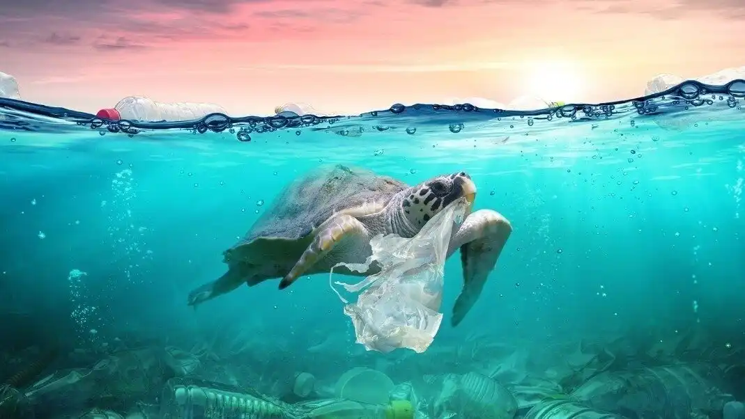 Petition · stop Plastic Waste in Our Oceans - Deutschland · Change.org Oceans Awash in Plastic Waste