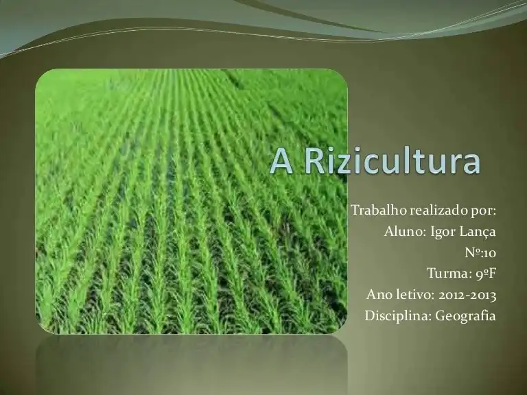 A rizicultura