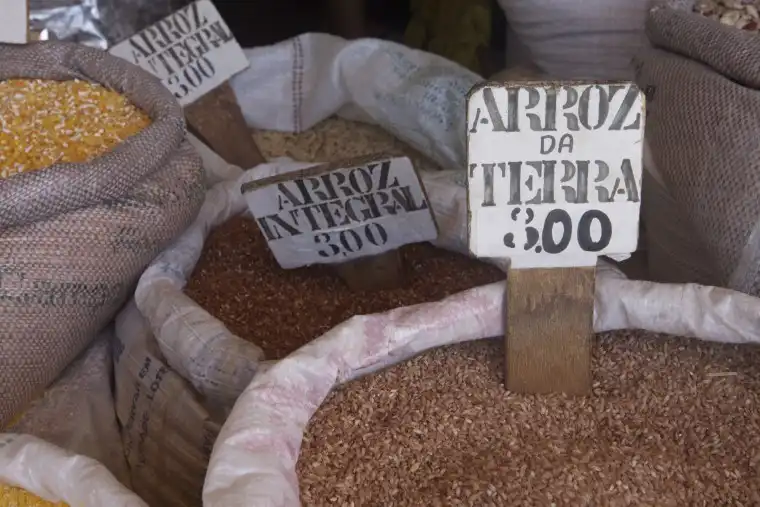 Missão De Investigação Da Terra Dos Arrozais