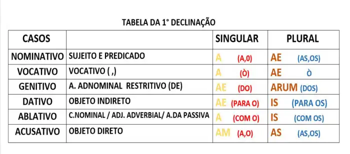 3ª Declinação - vídeo 1 - YouTube Declinar Significado