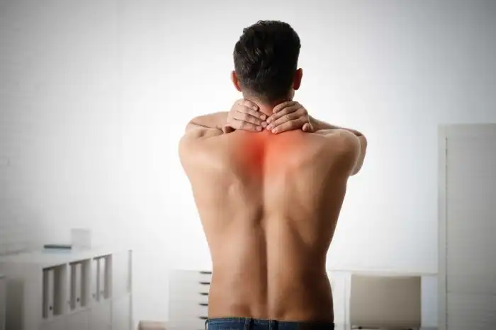 A Coluna Cervical - ITC Vertebral Quantas Vértebras Podemos Encontrar Na Região Cervical