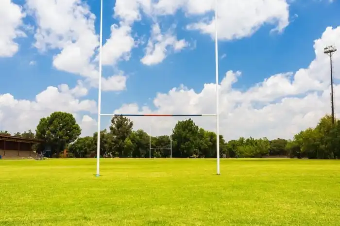Rugby irfu match player