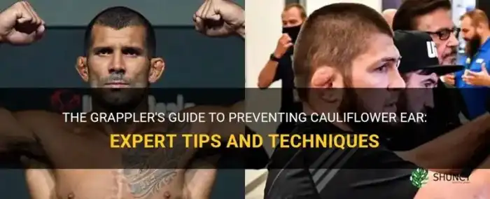 Cauliflower telinga fighter orejas ufc pelik kelihatan coliflor deporte sebab digelar kebanyakkan khabib rupanya sebabnya patutlah rupa cartilage swelling Cauliflower telinga fighter orejas ufc pelik kelihatan coliflor deporte sebab digelar kebanyakkan khabib rupanya sebabnya patutlah rupa cartilage swelling