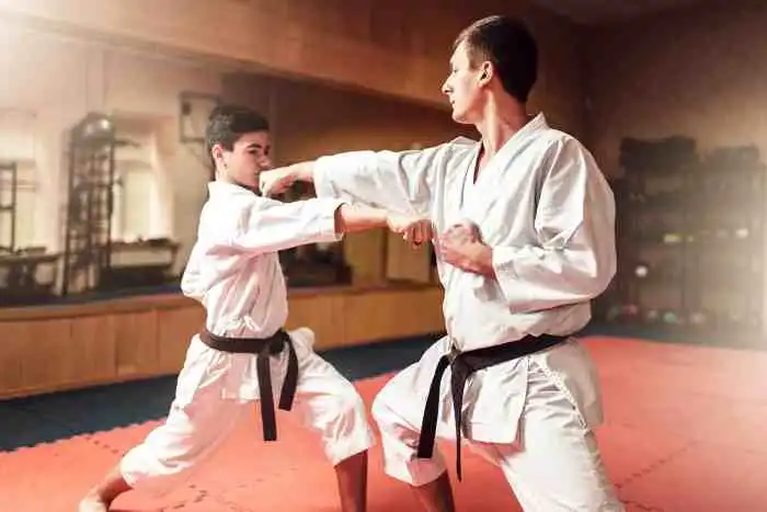 Why was karate removed from the Olympics?