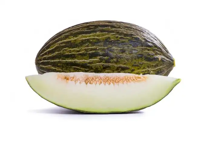 Melão Pele de Sapo RZ Conheça as nossas 4 variedades de melão Pele de ... Melão Pele de Sapo RZ Conheça as nossas 4 variedades de melão Pele de ...