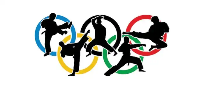 Why was karate removed from the Olympics?