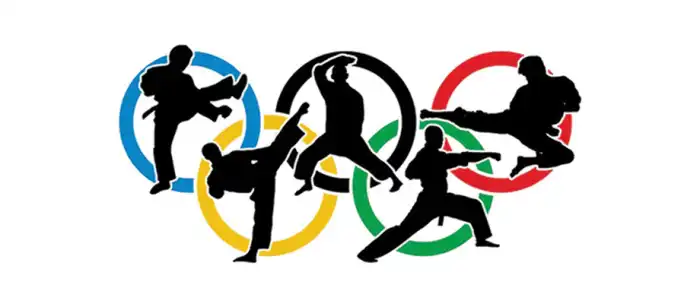 Why was karate removed from the Olympics?