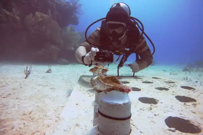 4 ways to take action to protect oceans and people