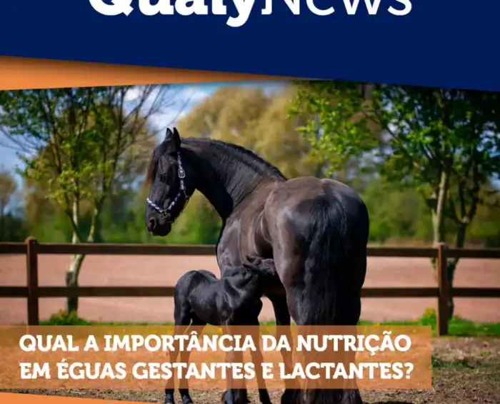 Qualy Nutrição Animal | Tecnologia em Nutrição Animal Qualy Nutrição Animal