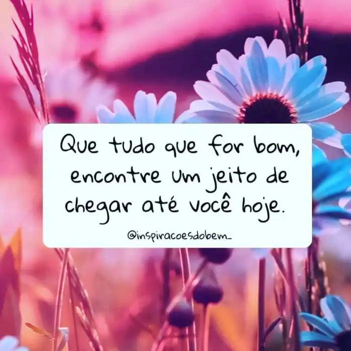 Te Encontrar Foi Tão Bom