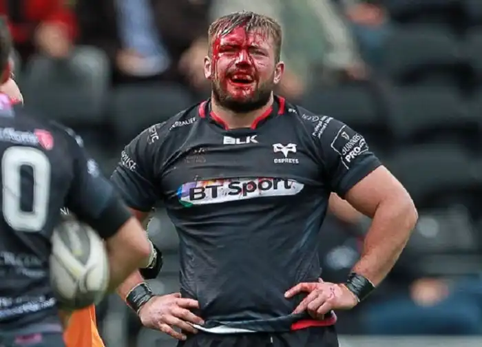France rugby cup back love world maintain current above form cut good their can France rugby cup back love world maintain current above form cut good their can