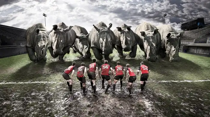 Rugby Wallpapers | Best Wallpapers Is rugby a high risk sport?
