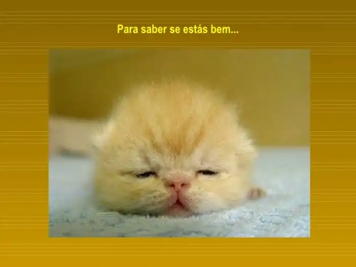 Lembrei me de voce Hoje Lembrei De Você Queria Te Encontrar