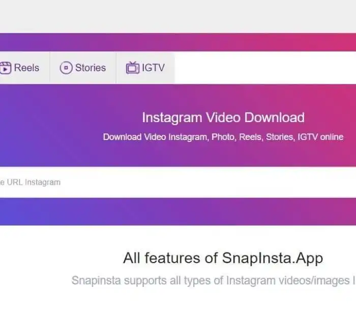SnapInsta | Instagram Video Downloader APK For Free Snapinsta
