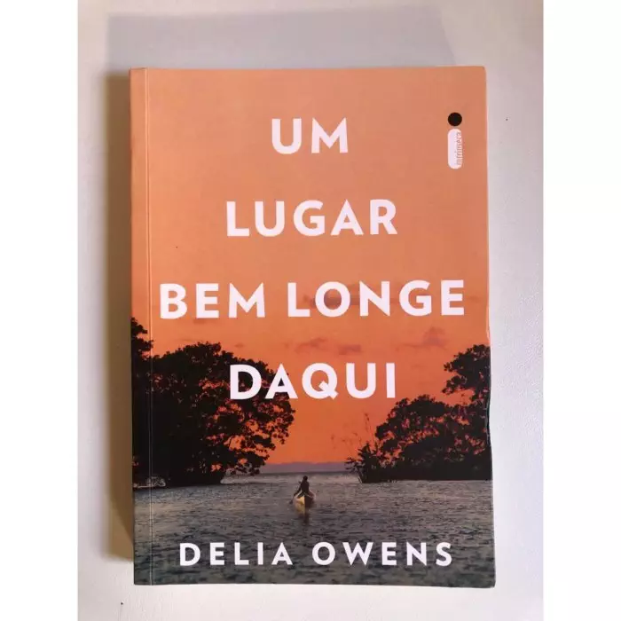 Livro Um Lugar Bem Longe Daqui | Shopee Brasil Um Lugar Bem Longe Daqui