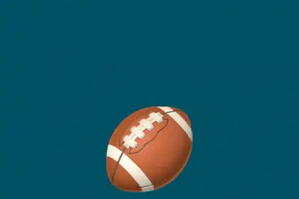 What is this emoji 🏈?