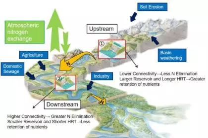 Impacto na biodiversidade da laminação Yamal