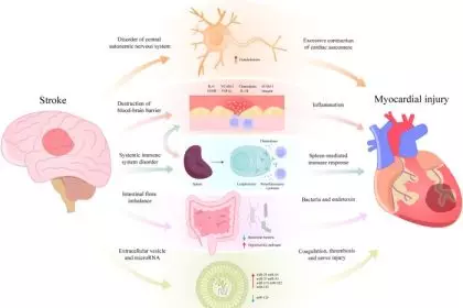 Does rugby cause brain damage