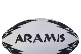 What is the rugby ball called