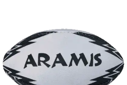 What is the rugby ball called