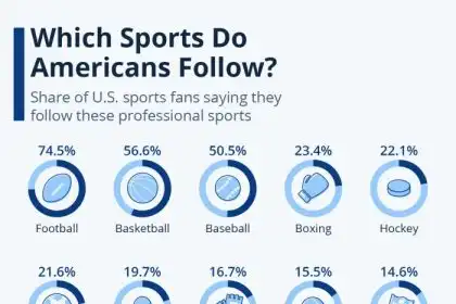What is Ireland number 1 sport?