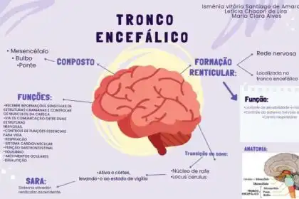 O Tronco Encefálico É Formado Por
