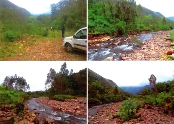 Cadeia Produtiva da Rizicultura de Alagoas recebe capacitação para ...