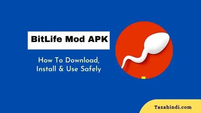 Bitlife Br Mod Apk Premium