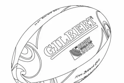 What is a rugby ball called?