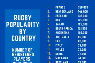How many countries play rugby professionally?