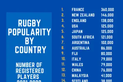 How many countries play rugby professionally?