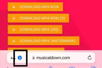 Baixar Video Tiktok Sem Marca D'água Com O Tiktok Downloader