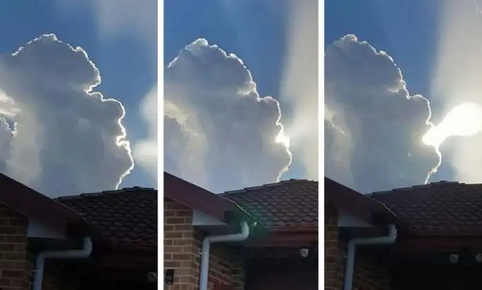Cada Coisa Que Existe